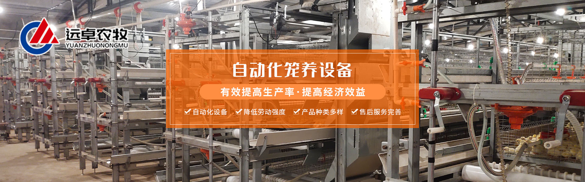蛋雞養(yǎng)殖決不能省掉的，不然吃大虧！鄭州遠卓農(nóng)牧