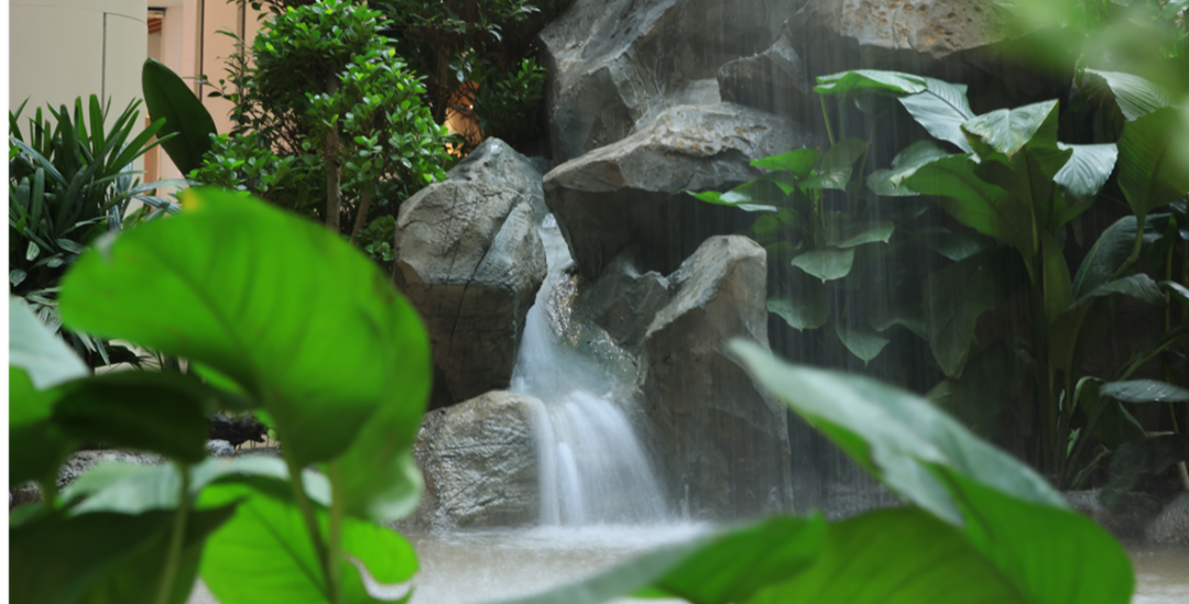擁抱自然的公園式商業(yè)引領(lǐng)城市微度假，打通消費者的情感鏈接