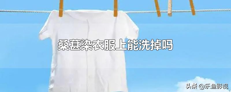 桑葚染衣服上能洗掉吗