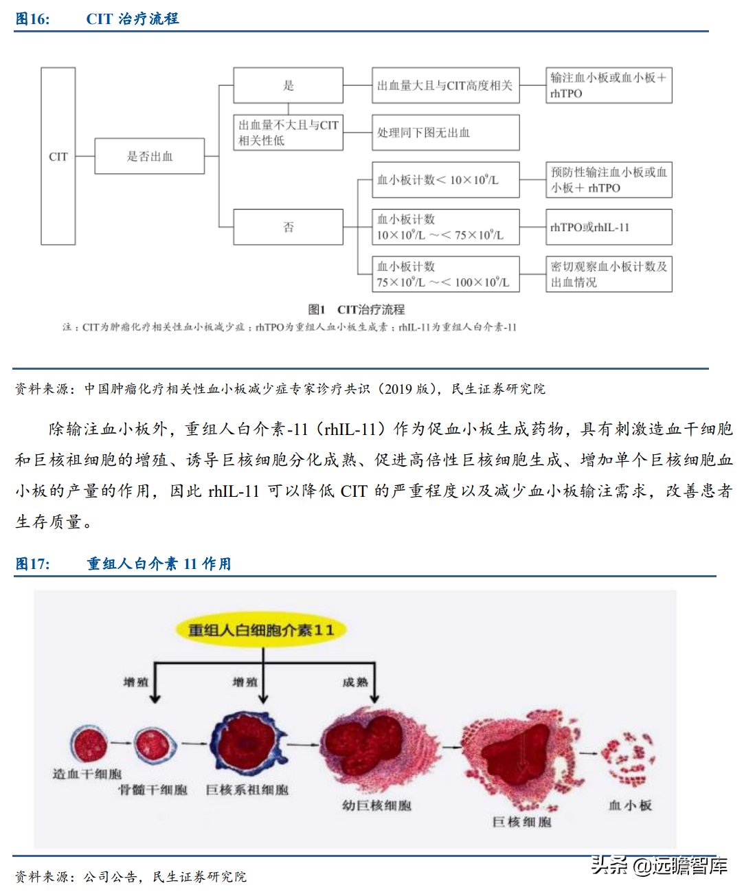 基因疗法热度持续攀升，新秀：诺思兰德，拳头产品剑指超百亿市场