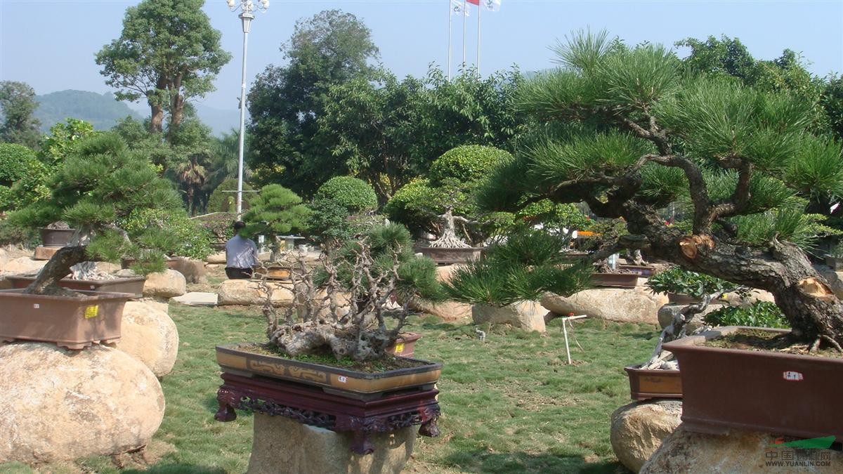 林学类专业：尽管属于农学专业，但却包含很多人感兴趣的园林专业