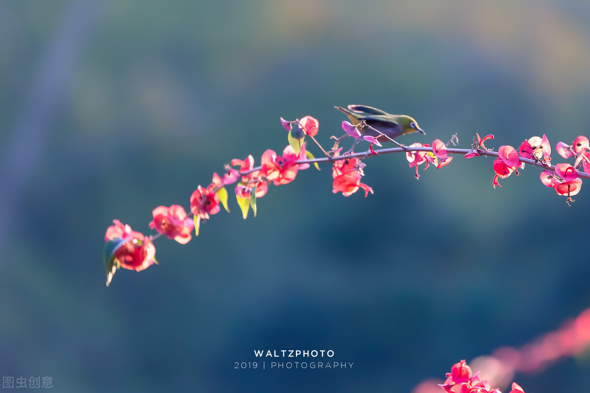 问世间情为何物，直教人生死相许
