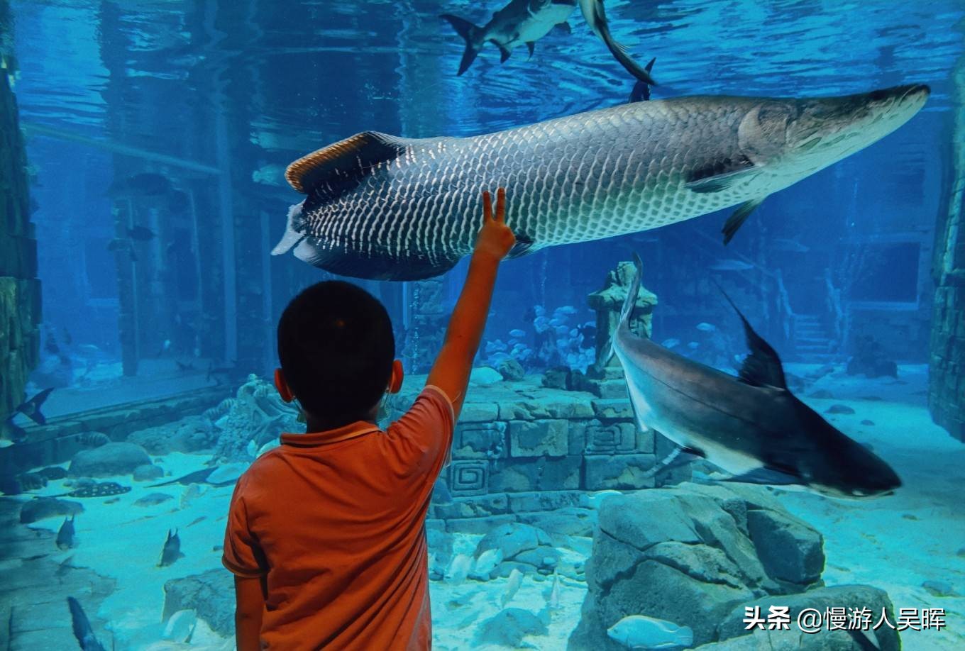 我和海南的约惠丨海南环岛西线自驾，小众体验，风光美食无限好