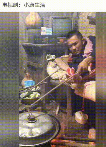 爆笑神评论：按照今年的菜价，这朵花不便宜吧！哈哈哈