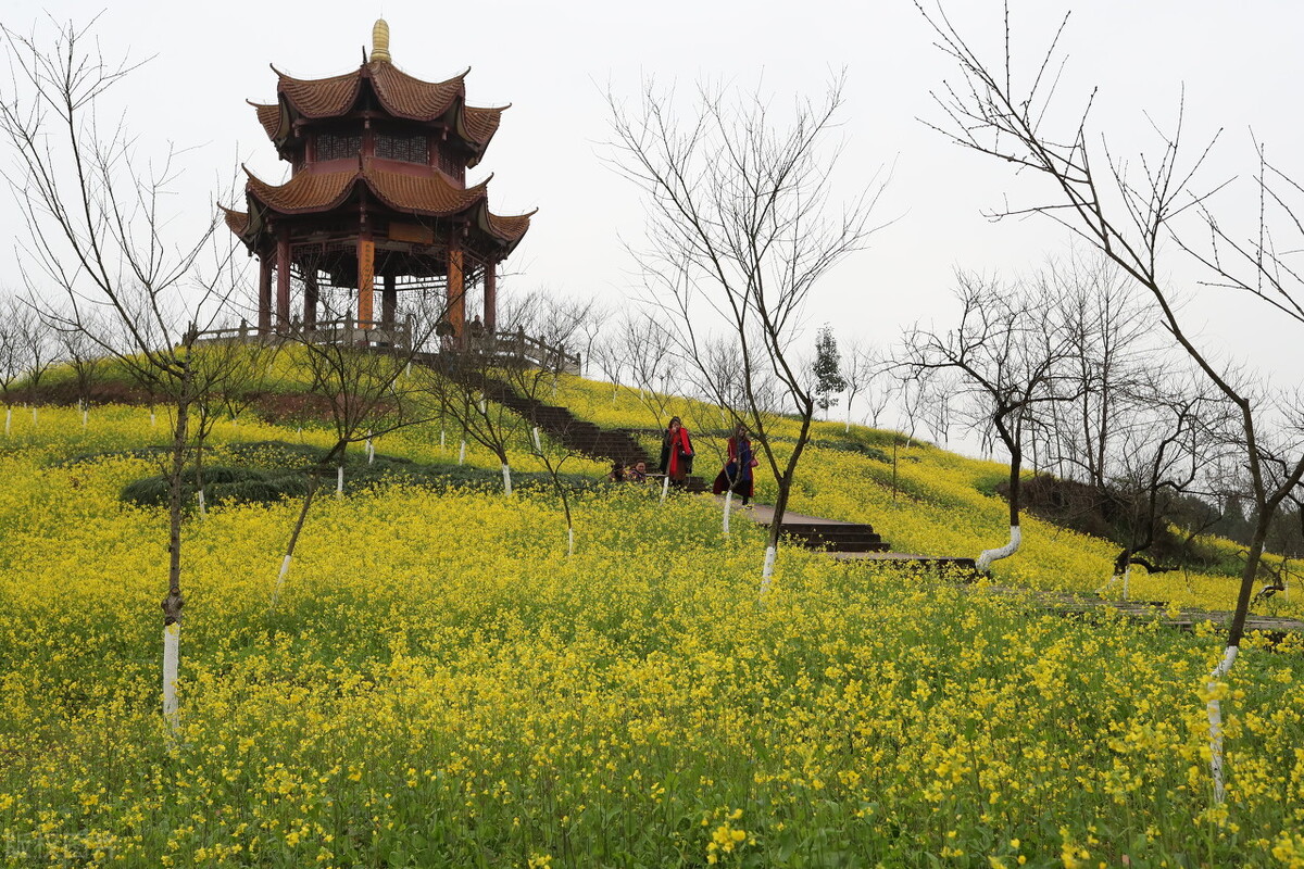 美术生考本地公办院校要多少分？重庆三峡学院、第二师范成守门员