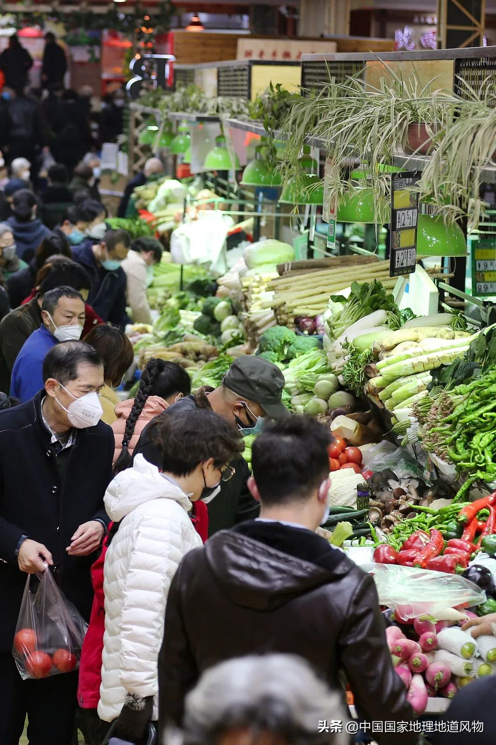 助力蔬菜自由，山东、河南、河北、江苏四省，种菜到底有多猛？