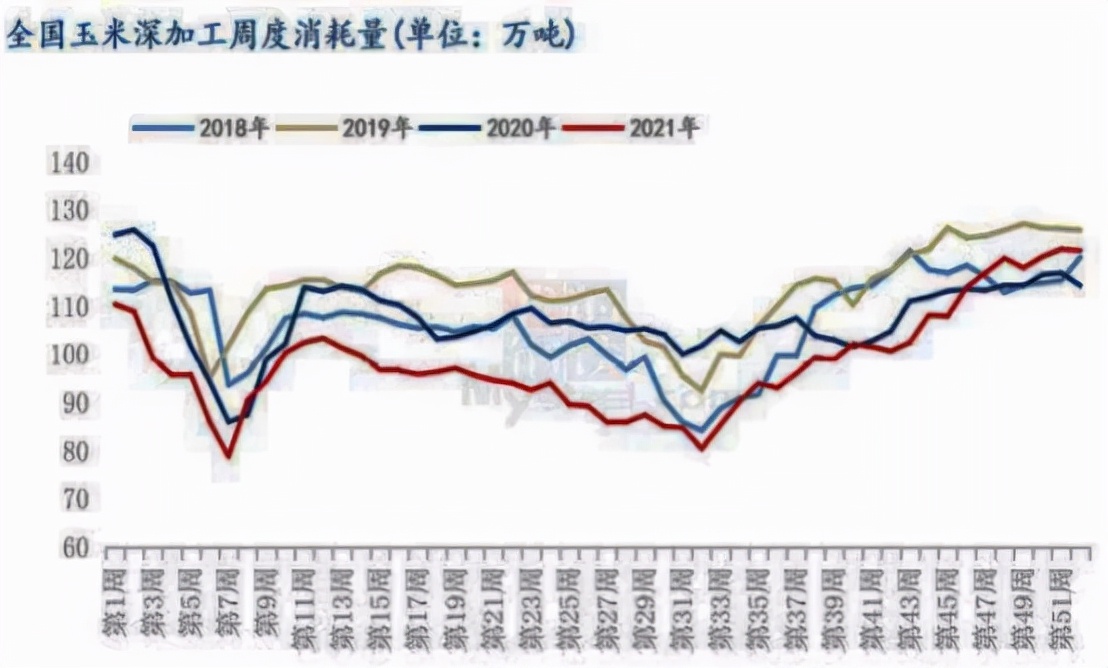 玉米性价比仍不高，猪粮比有望回升
