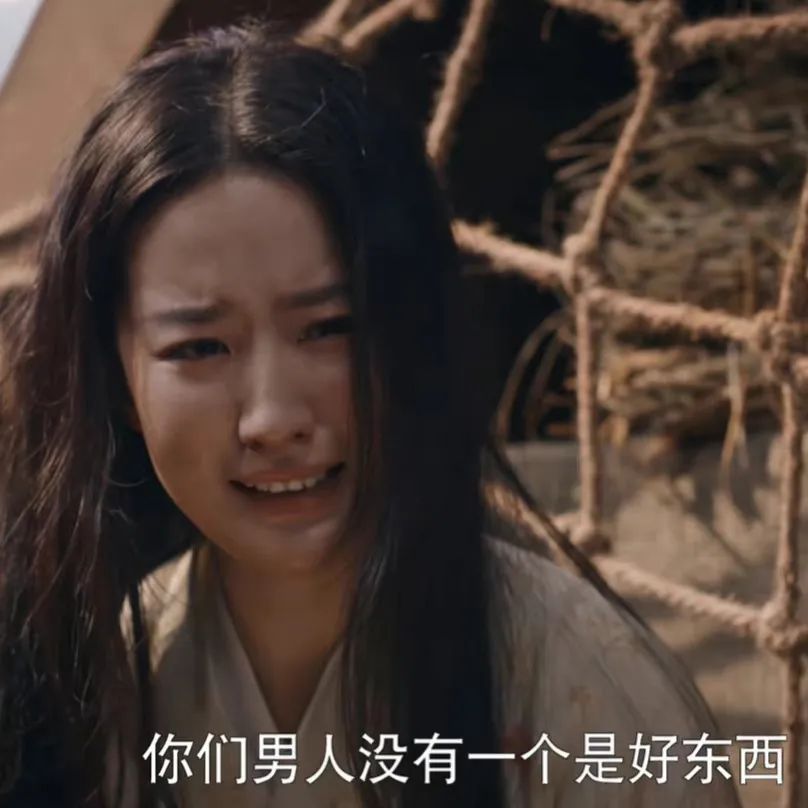 梦华录刘亦菲表情包