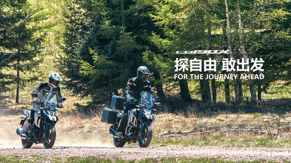 猛鸷190，GW250，TR300各有优缺点，所以就有点纠结，如何选呢？