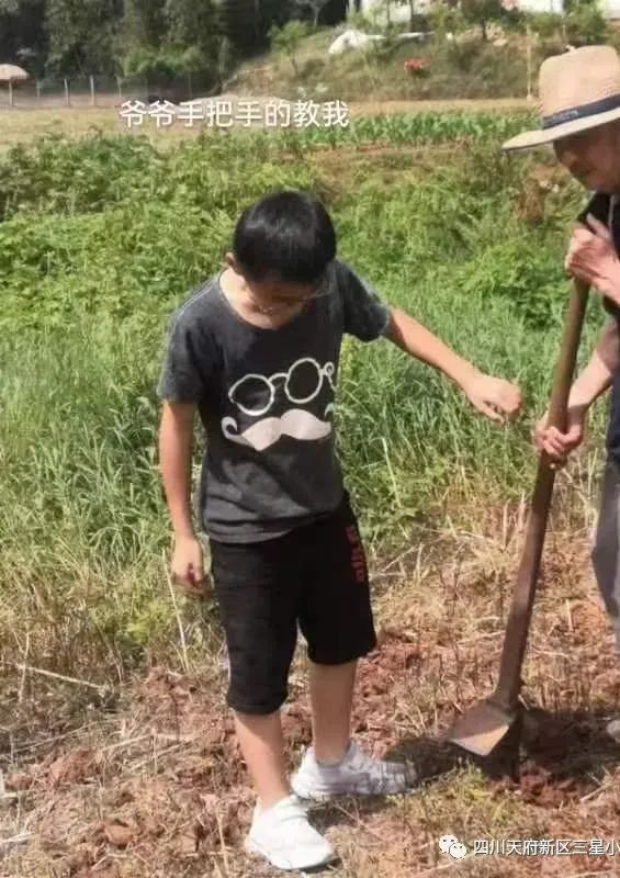 致敬最可爱的人——四川天府新区三星小学开展劳动实践周系列活动