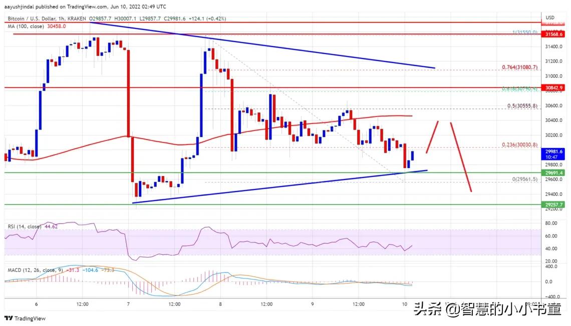 比特币熊继续推动，为什么 BTC 仍会暴跌