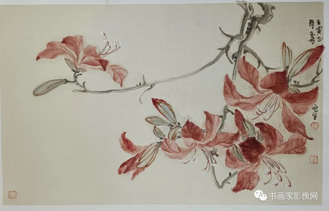 陈玉芳老师图片