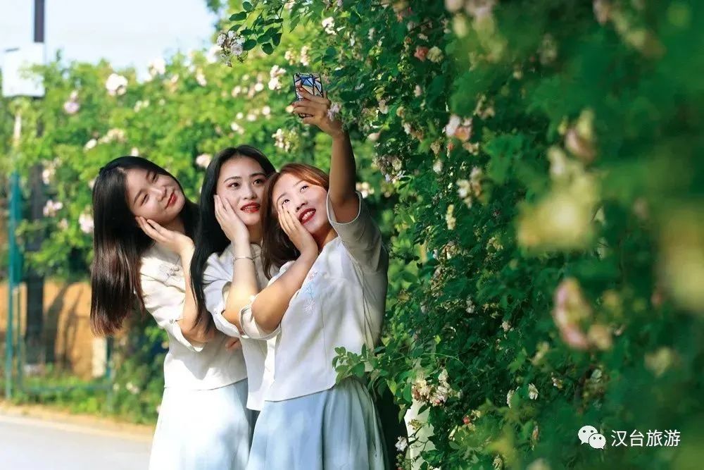 這是什么神仙地方?。繚h中這個(gè)寶藏地出圈又出片！