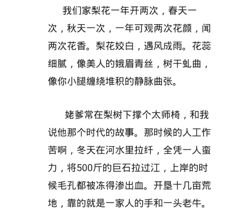 语言类满分作文《梨花语》，我豆蔻，你耄耋，让人禁不住潸然泪下