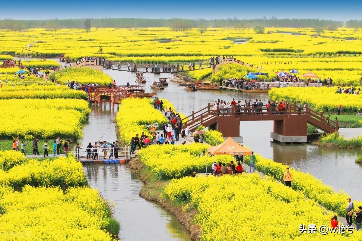 春天的颜色——红白黄紫绿