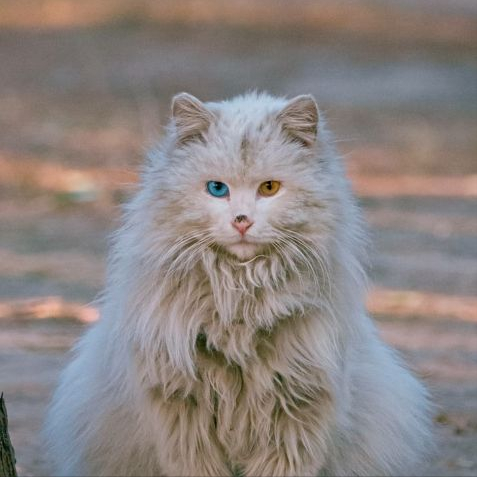 这几点太可怕了