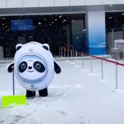 冰墩墩名场面可爱集