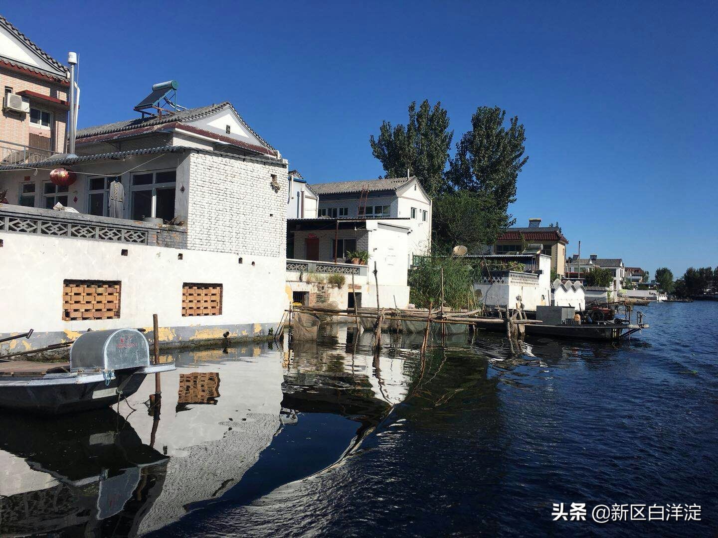 白洋淀纪事：安新汽车站旁的风情画卷