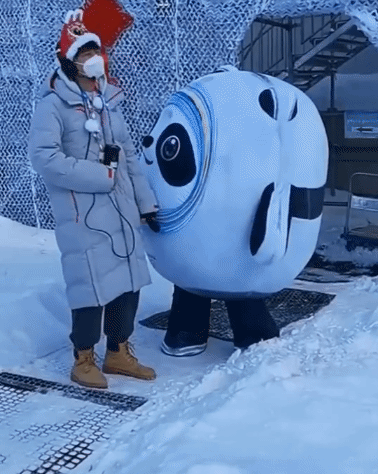 冰墩墩名场面可爱集