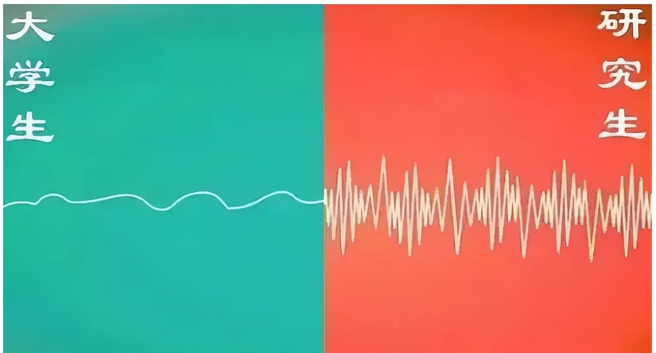 本科生和研究生的区别在哪里？4张对比图告诉你，诠释得很形象