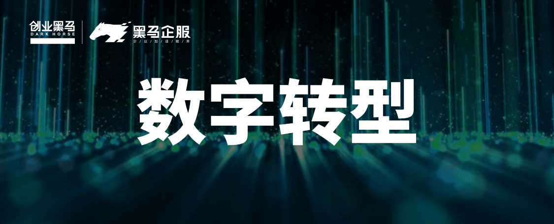双碳布局新能源