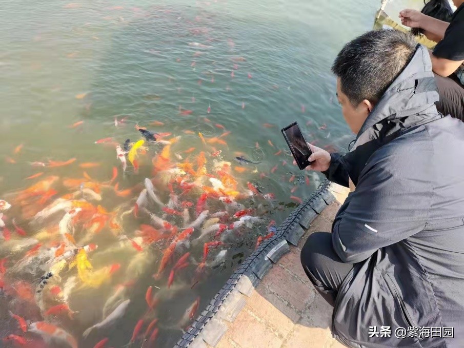 过年想好去哪玩了没，湖北周边春节必去景点