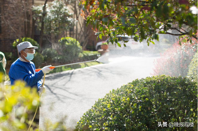 龙湖的这堂园林养护课 让春季来的更早一些