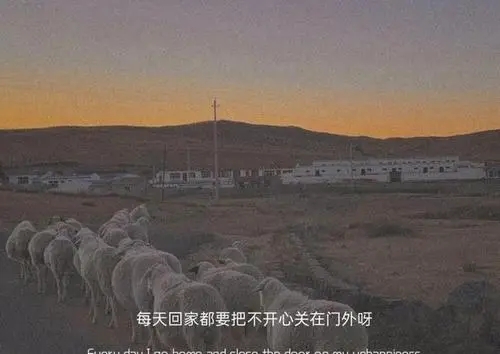 我毫无保留的对你，你应倍加珍视，而不是待之若无......