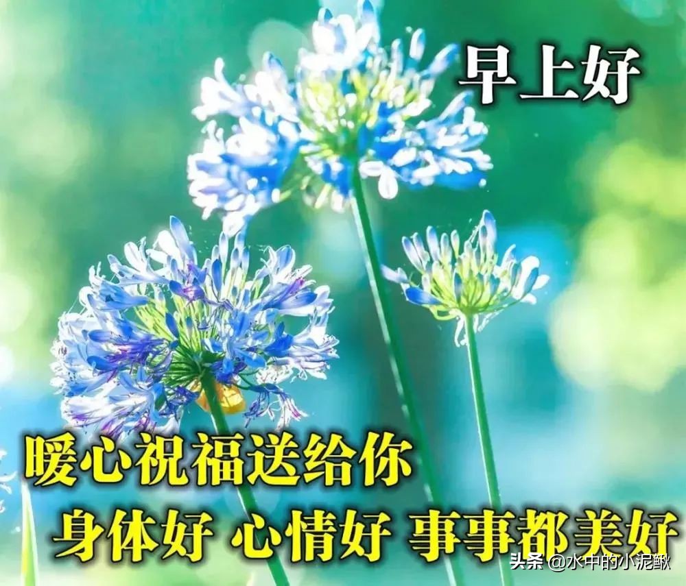 朋友圈励志早安心语句子，满满正能量早安语录句子