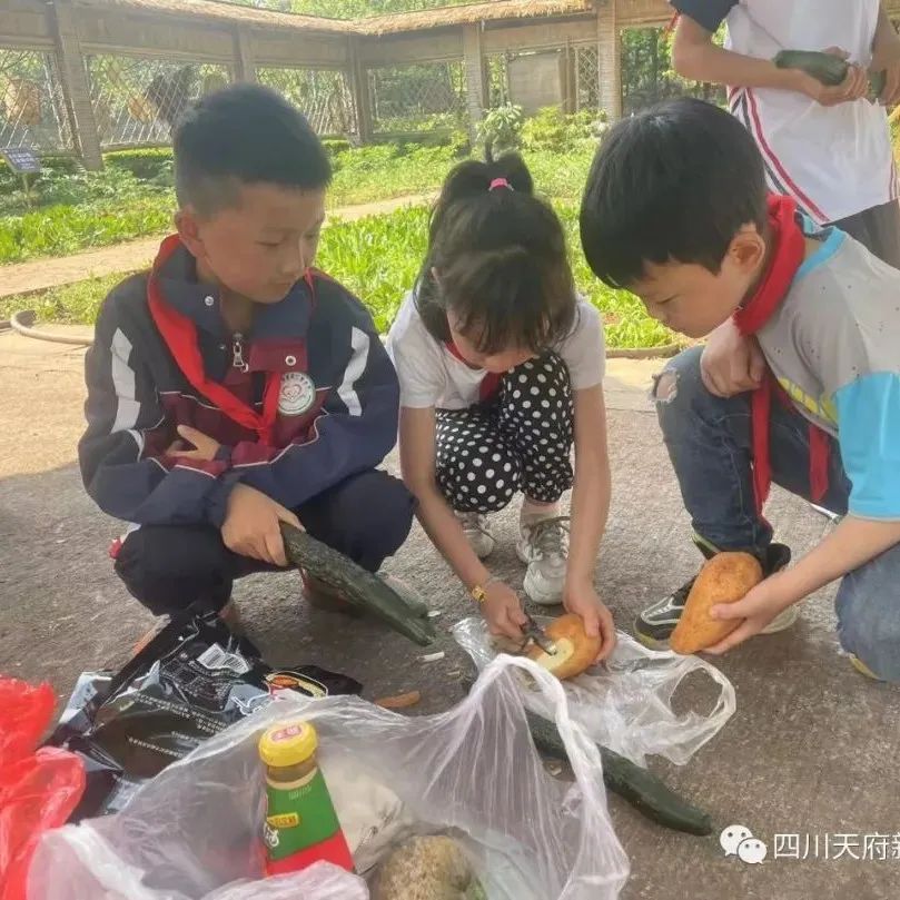 致敬最可爱的人——四川天府新区三星小学开展劳动实践周系列活动