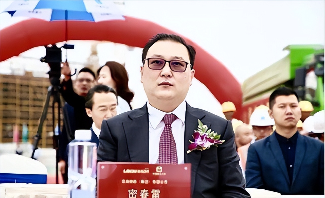 董卿老公被执行标的7.19亿，女明星的富豪老公还靠得住么？