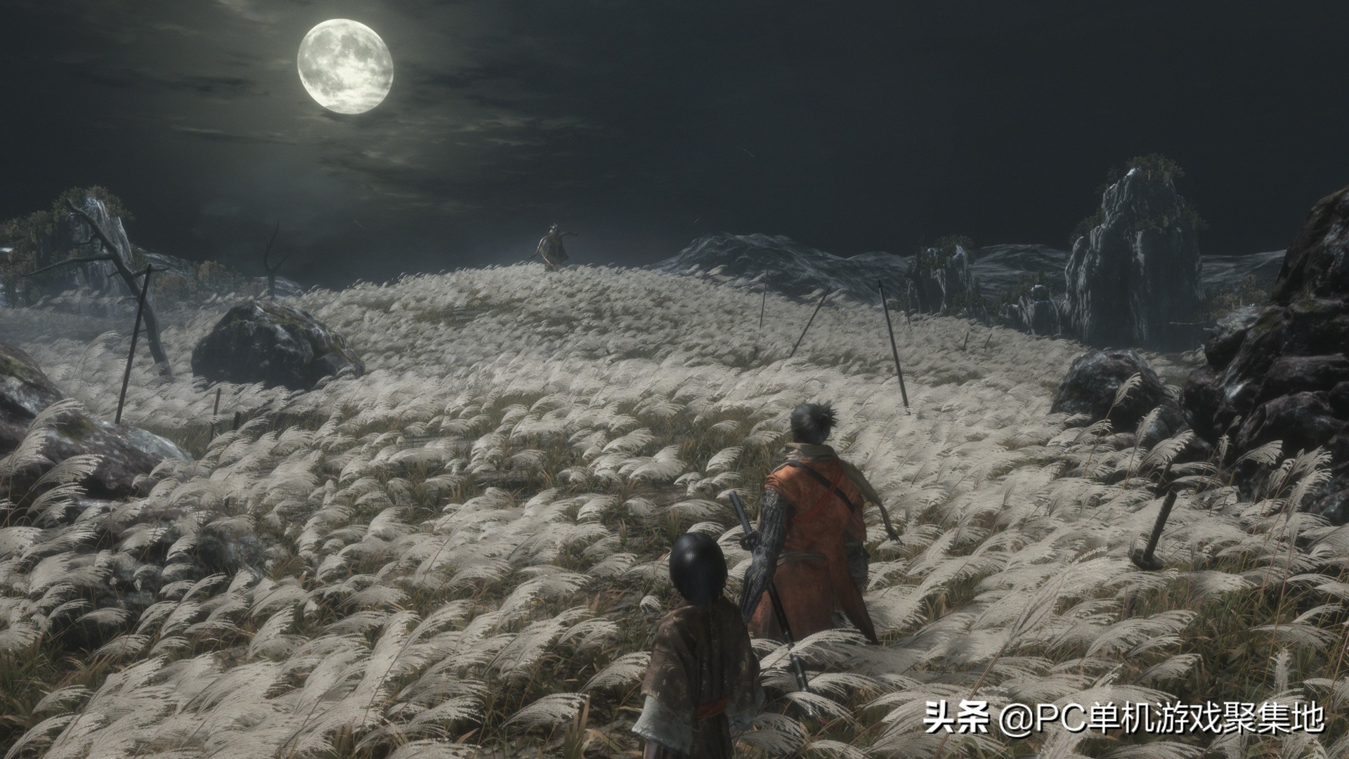 黑魂游戏：《只狼：影逝二度》（内附教下载方式）