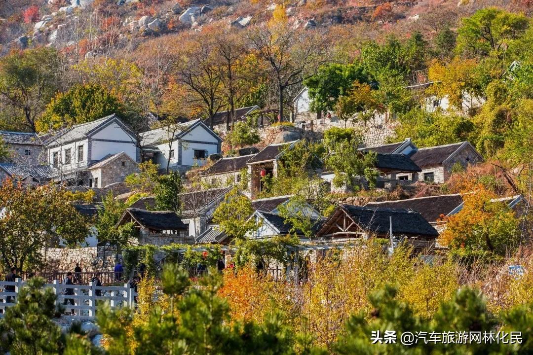 最具仪式感的跨年丨天蒙之巅观东海日出，99元追光套票等你来