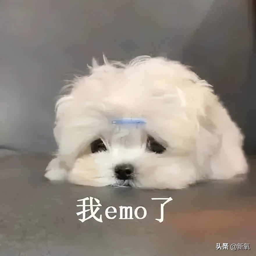 新剧一出场小腹凸成一坨？这翻车的体态硬是被腿精天花板当场救回