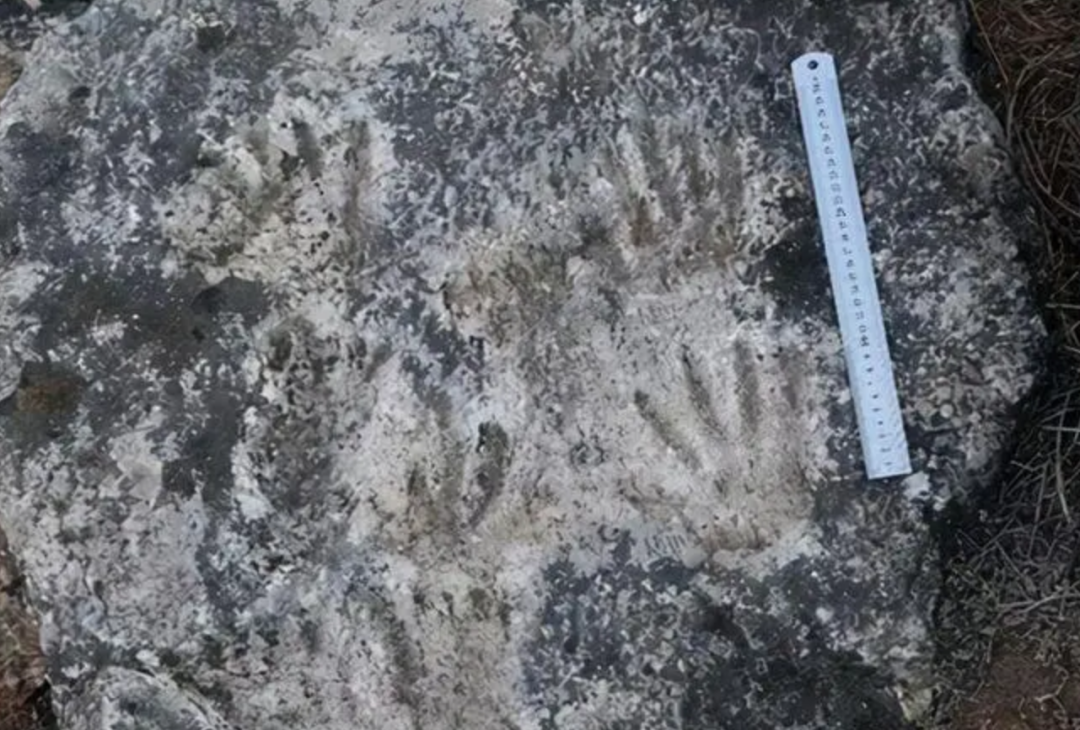 226,000年前，谁留在谁留在Aomi西藏西藏帕萨的小组？