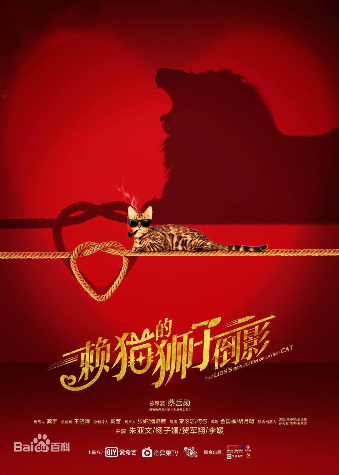《赖猫的狮子倒影》朱亚文、杨子姗、贺军翔、主演的都市情感剧