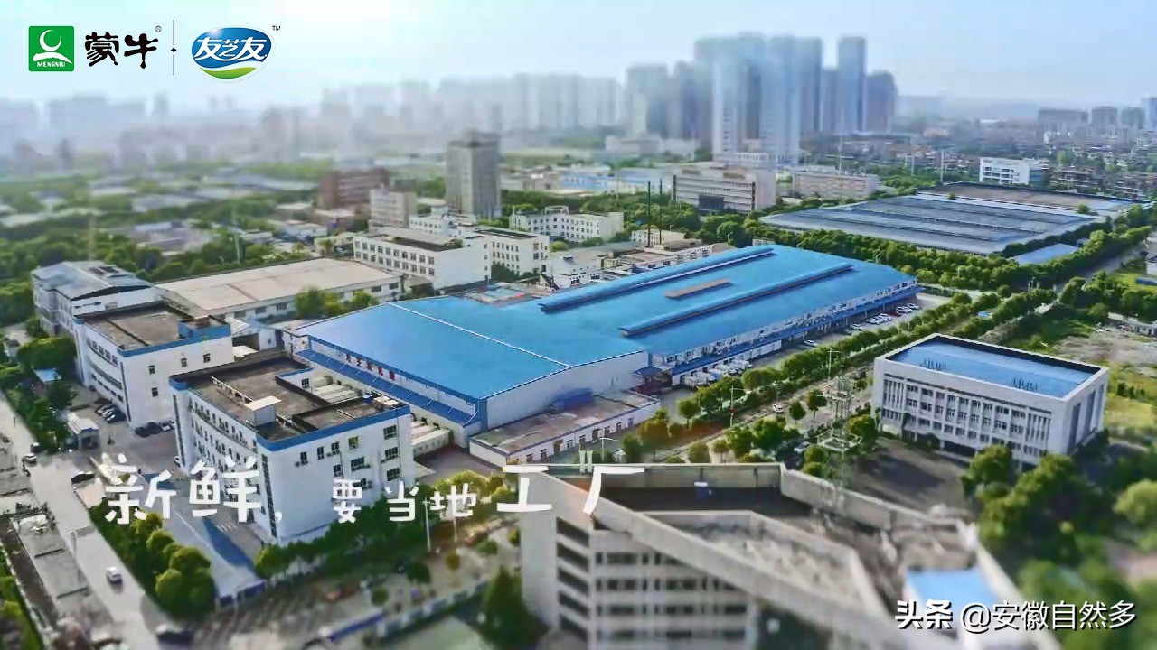 饮品加盟代理（蒙牛友芝友牛奶加盟代理怎么样）