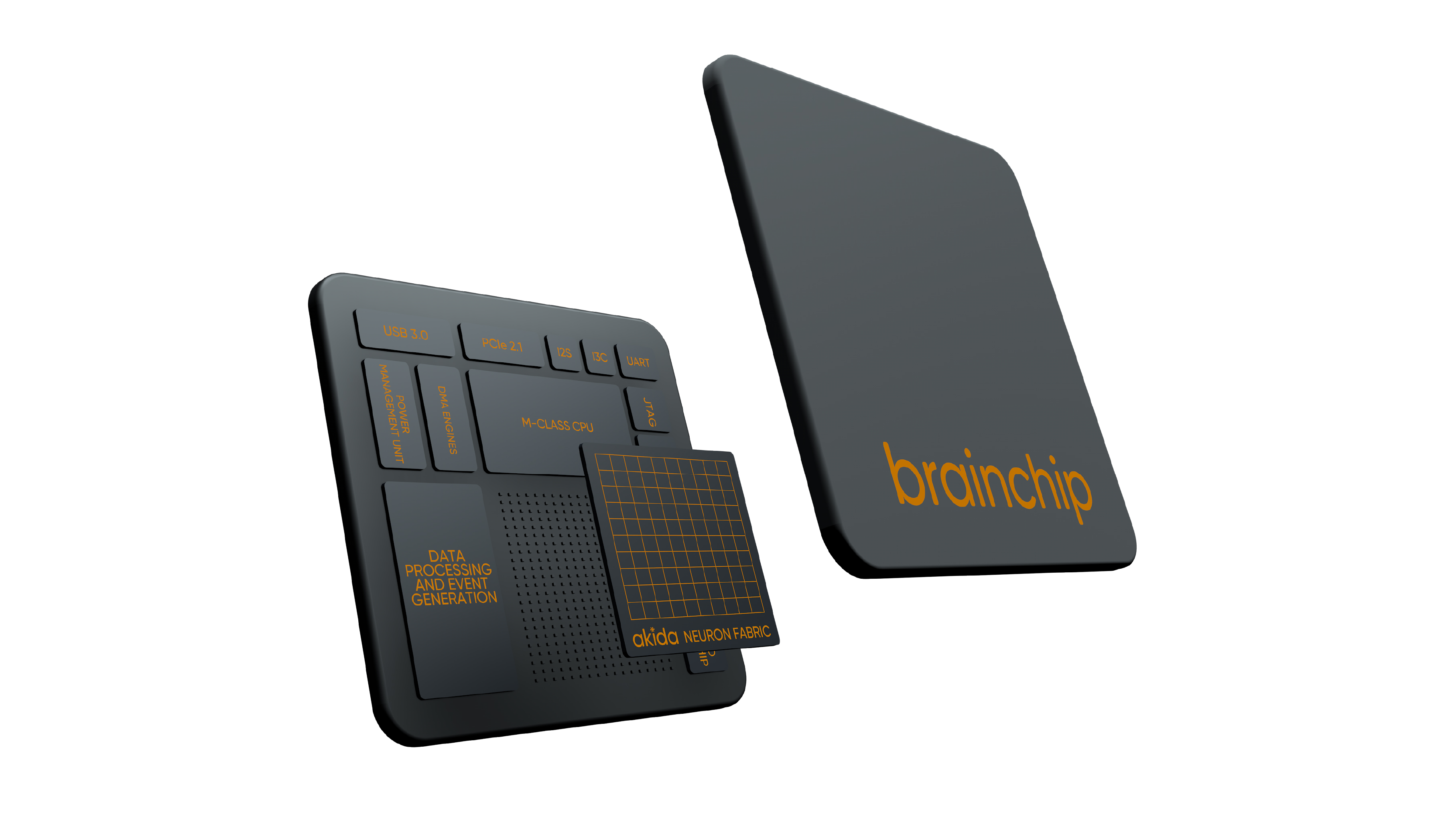 BrainChip AI 人工智能技术公司 logo设计 via:Heavenly