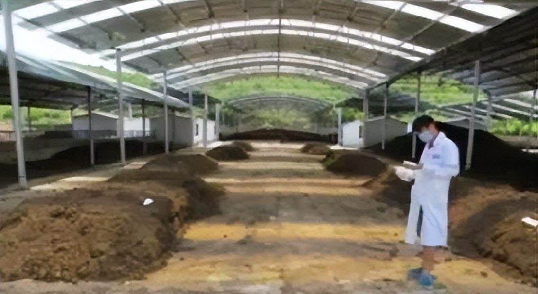 抓住盛夏季节，养好肉仔鸭