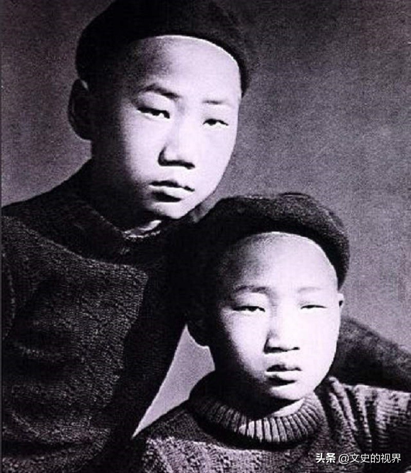 2007年毛岸青在北京逝世，病逝前嘱咐毛新宇：我要和妈妈葬在一起