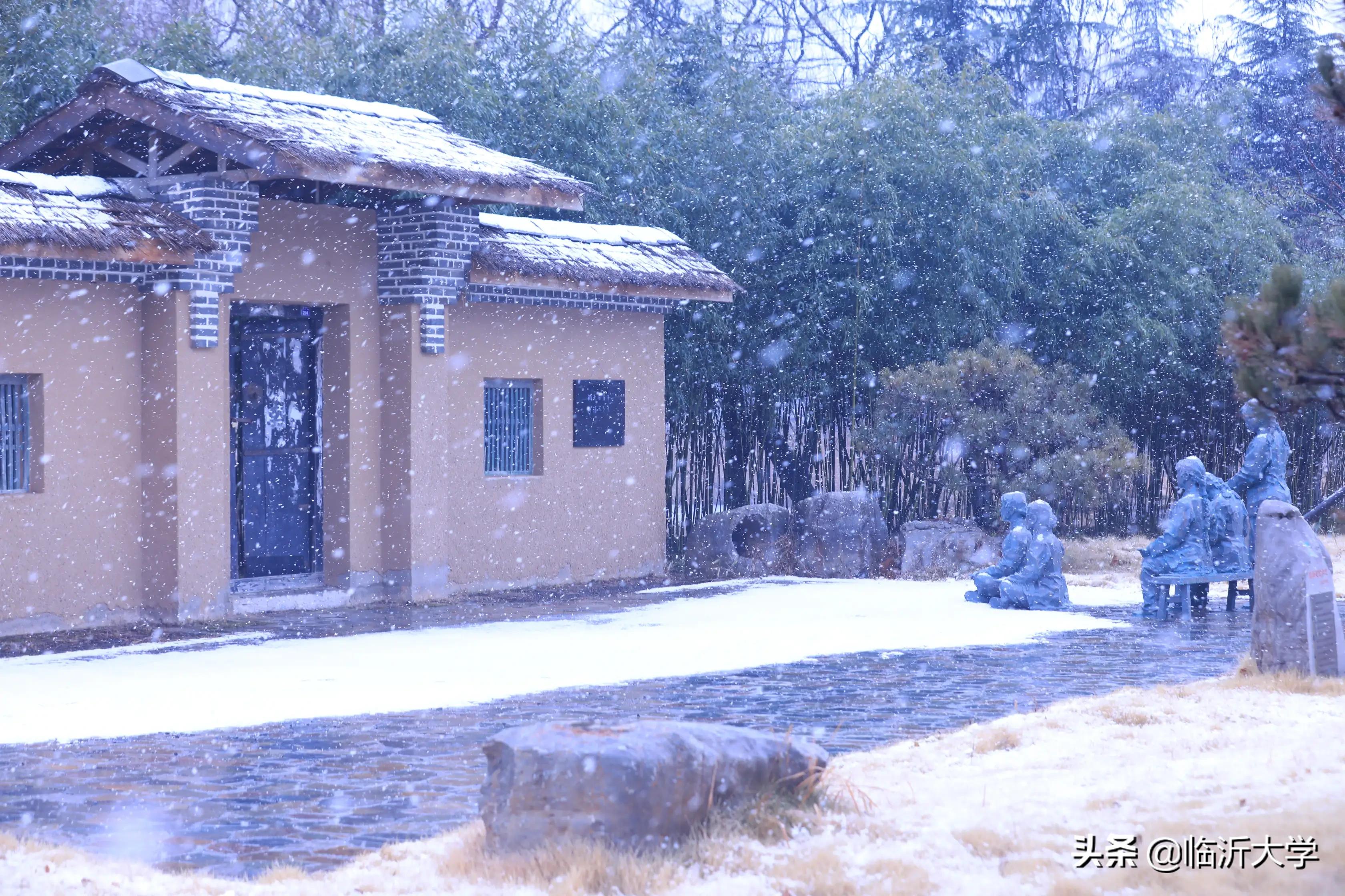 我慢慢地听，雪落下的声音