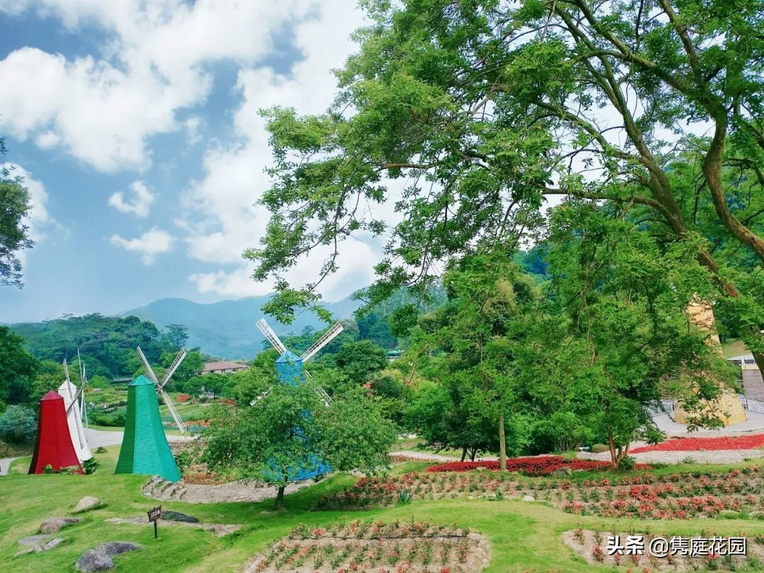 一个小院，花开四季，云淡风轻