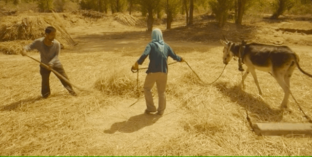 海清灰头土脸，“毁容式”出演，华语影片年度最高分