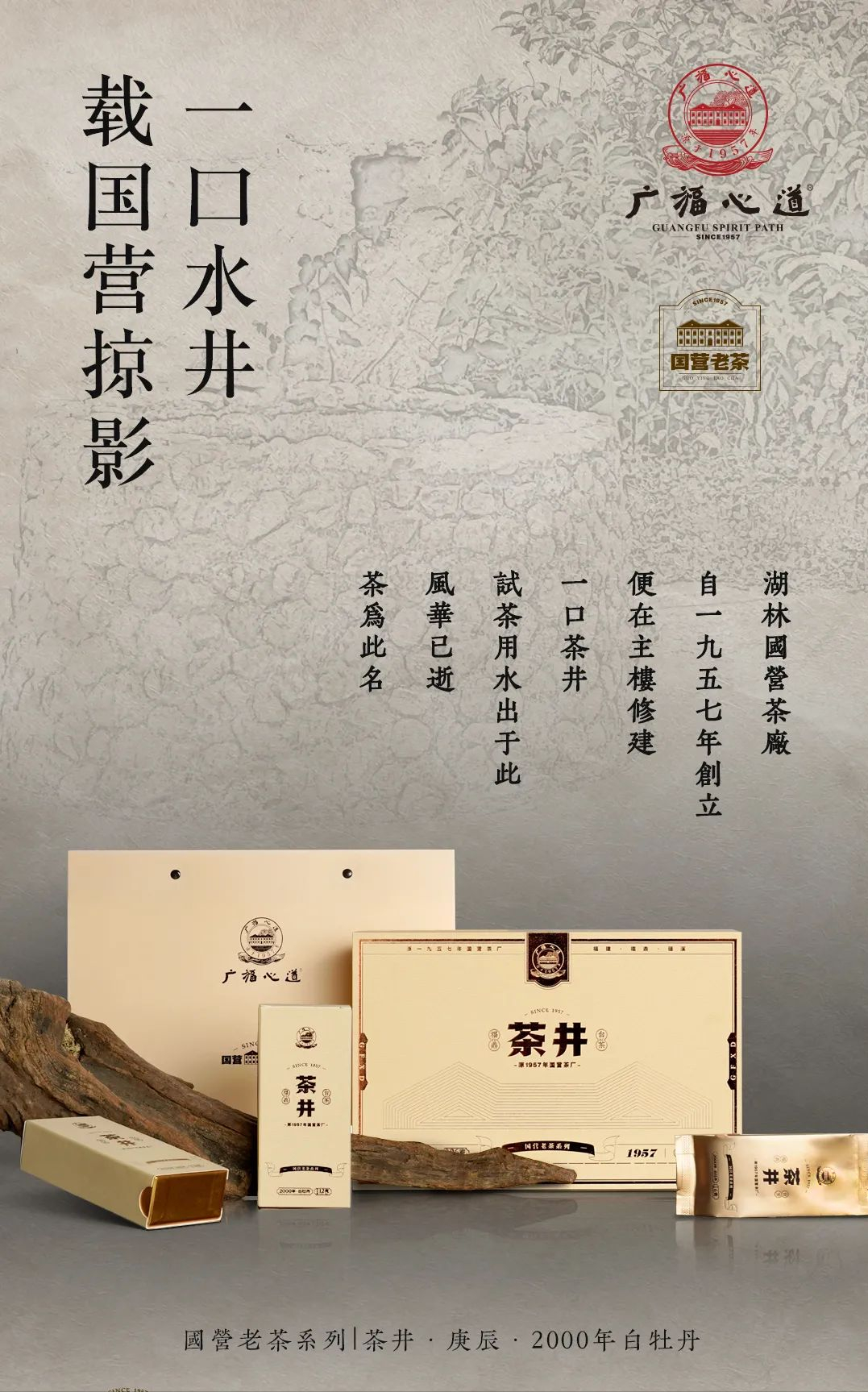 茶井·庚辰：2000年老牡丹，国营茶味活化石