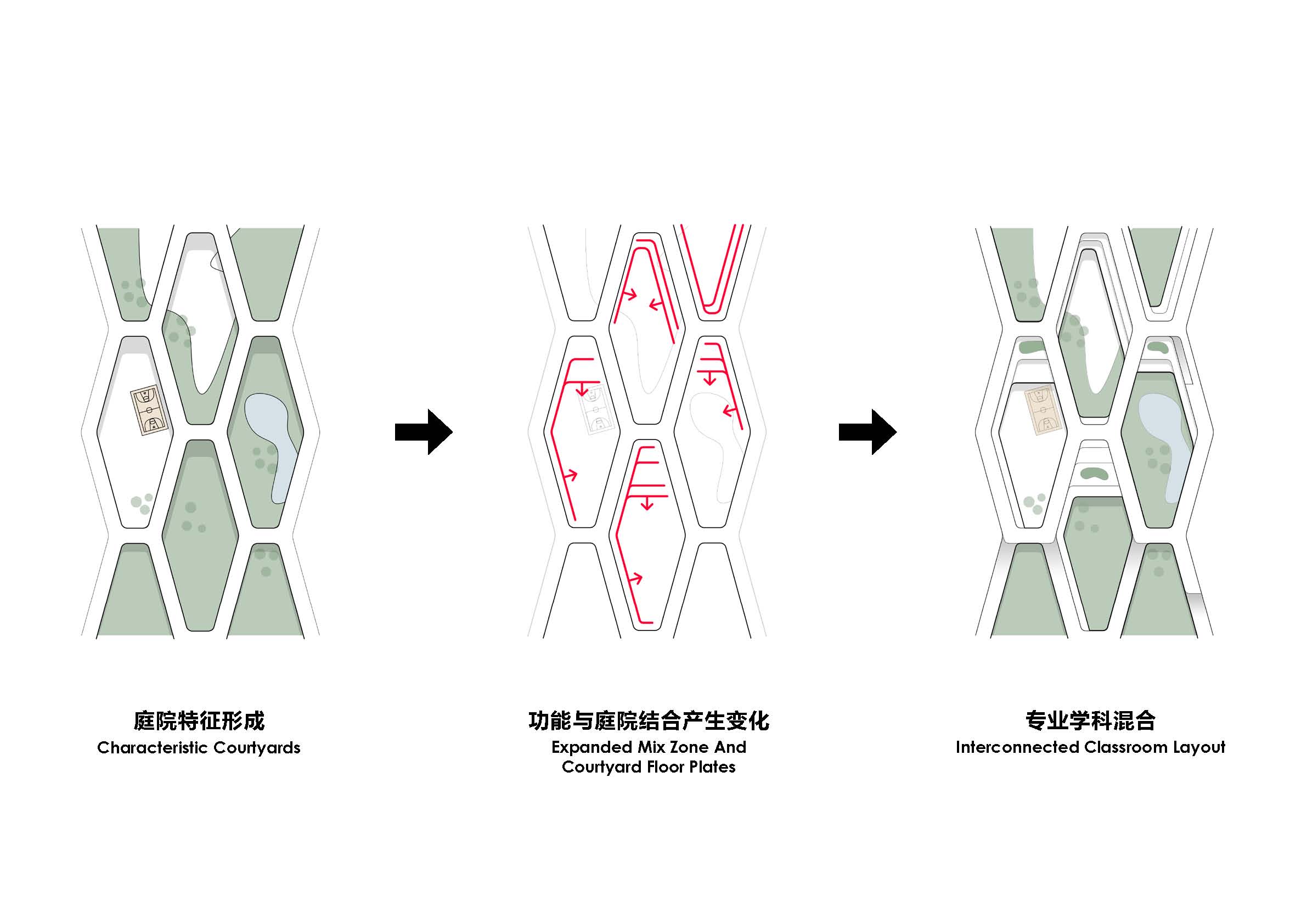 中央美术学院青岛校区设计方案