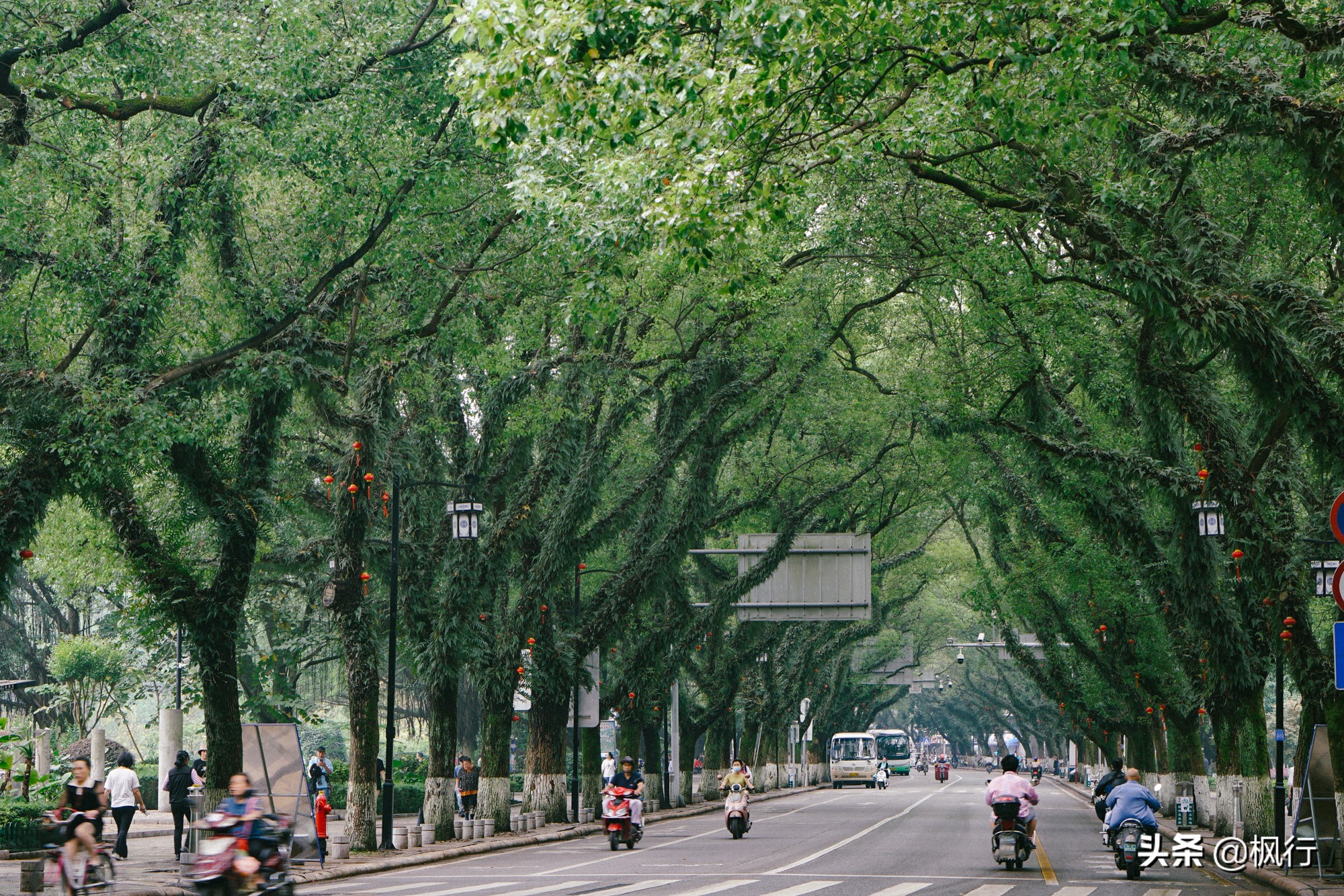 桂林和阳朔，可不是一个地方哟！1天的桂林市区怎么玩？附攻略