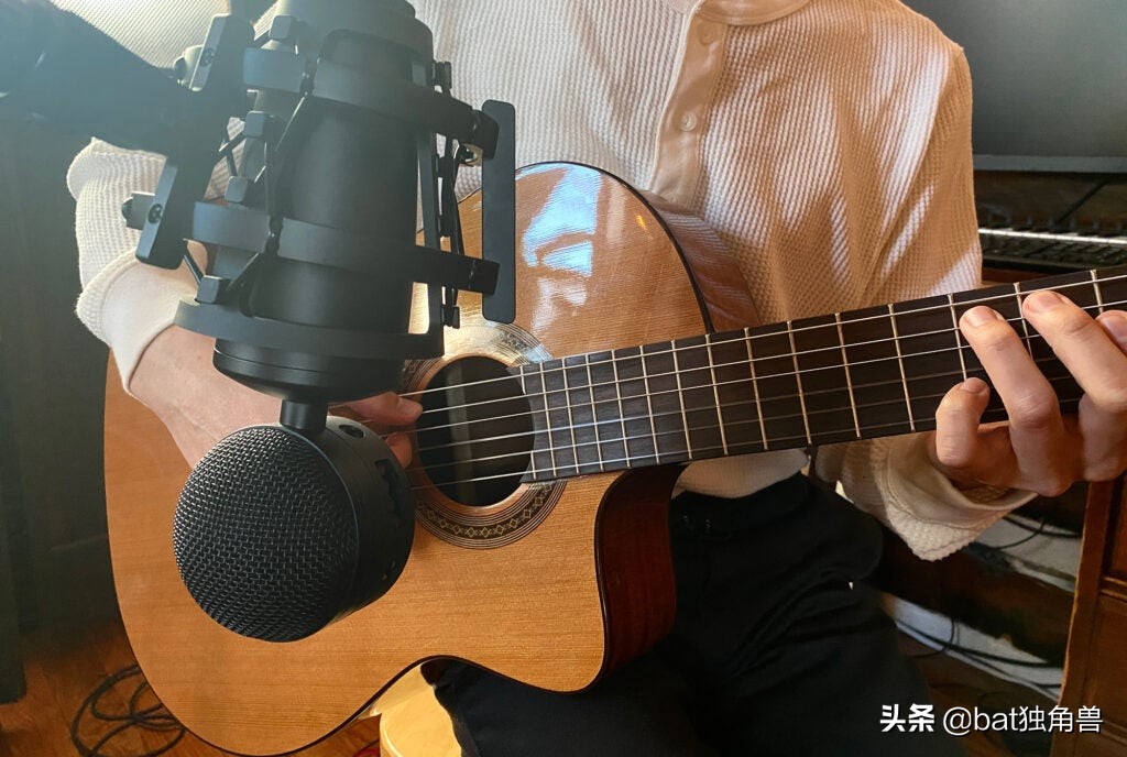 整洁的麦克风国王蜜蜂II评论：自然适合