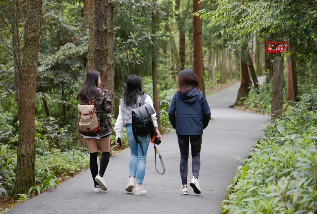 全程景点无门票！重庆这条178公里自驾公路，自驾爱好者必打卡！