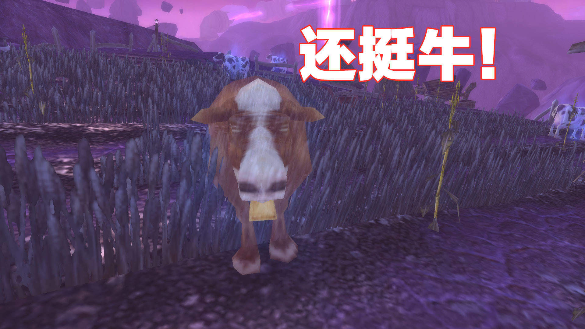 魔兽世界：CD大军收入碾压排骨人？可行性分析报告在此，仔细观看