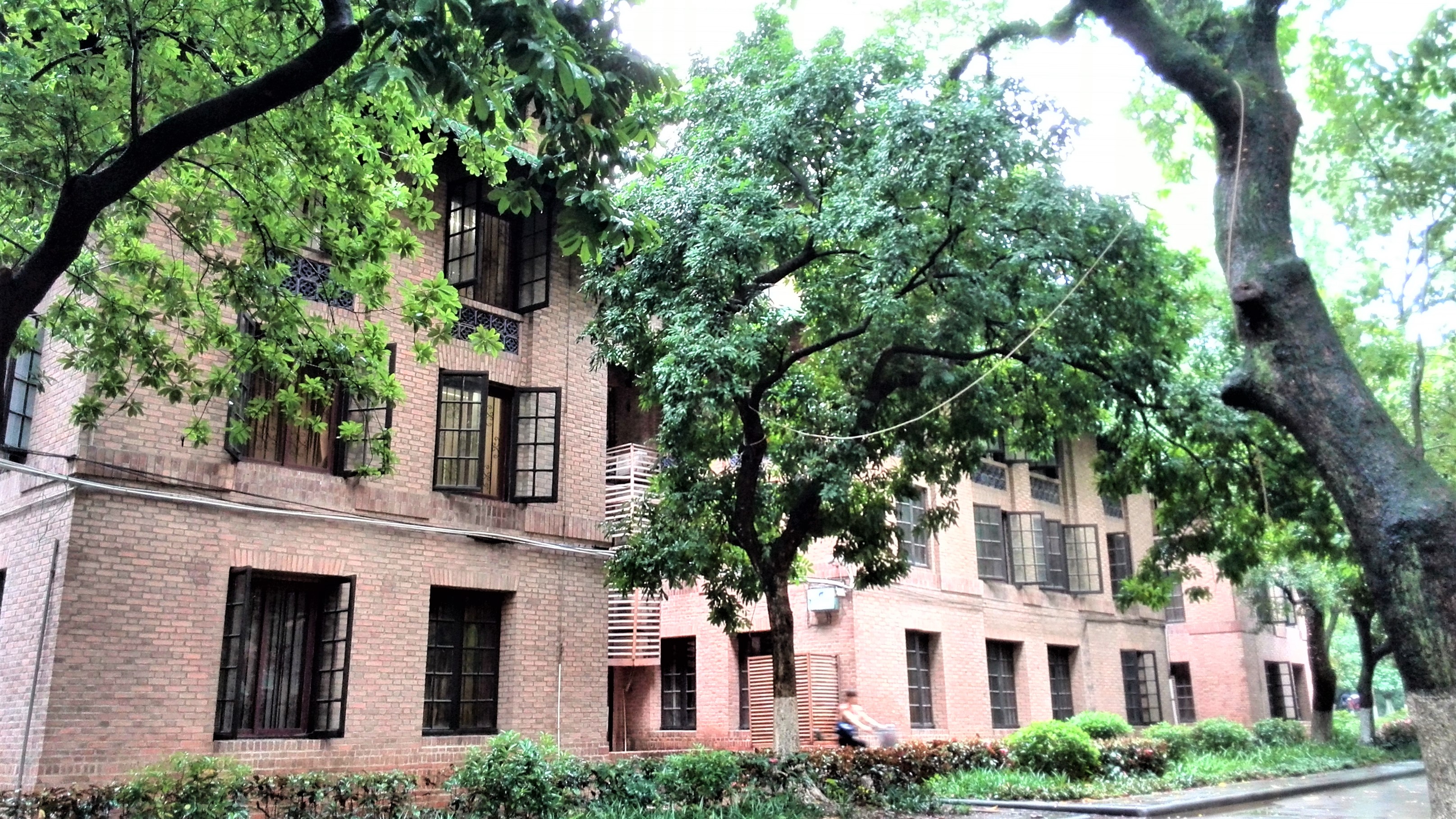 中山大学：广东人眼里的华南一霸，知名度不过长江？